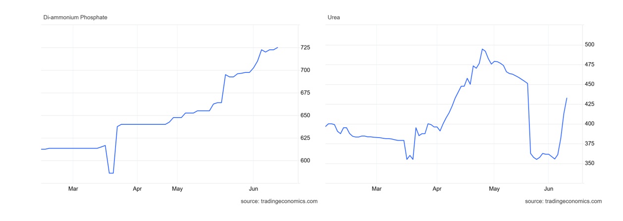 DAP and Urea Prices